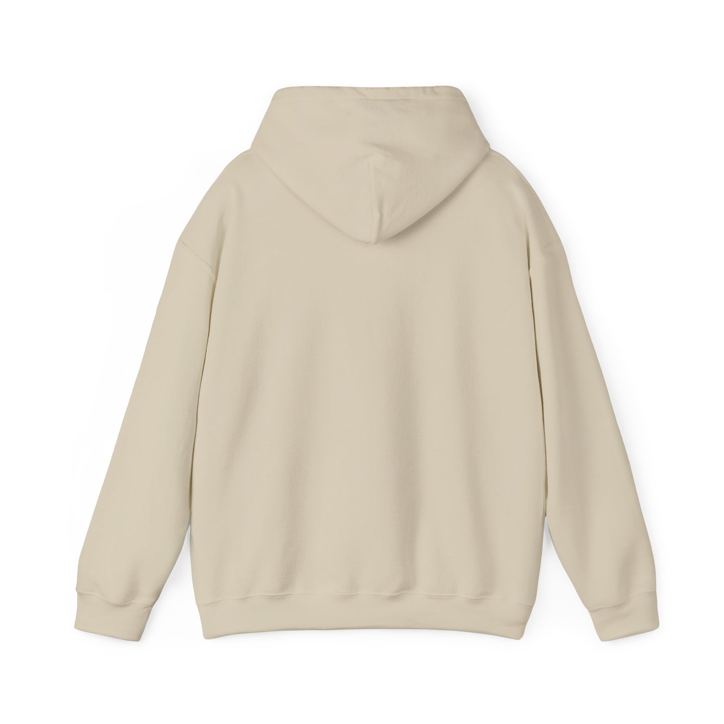 FSU Hoodie