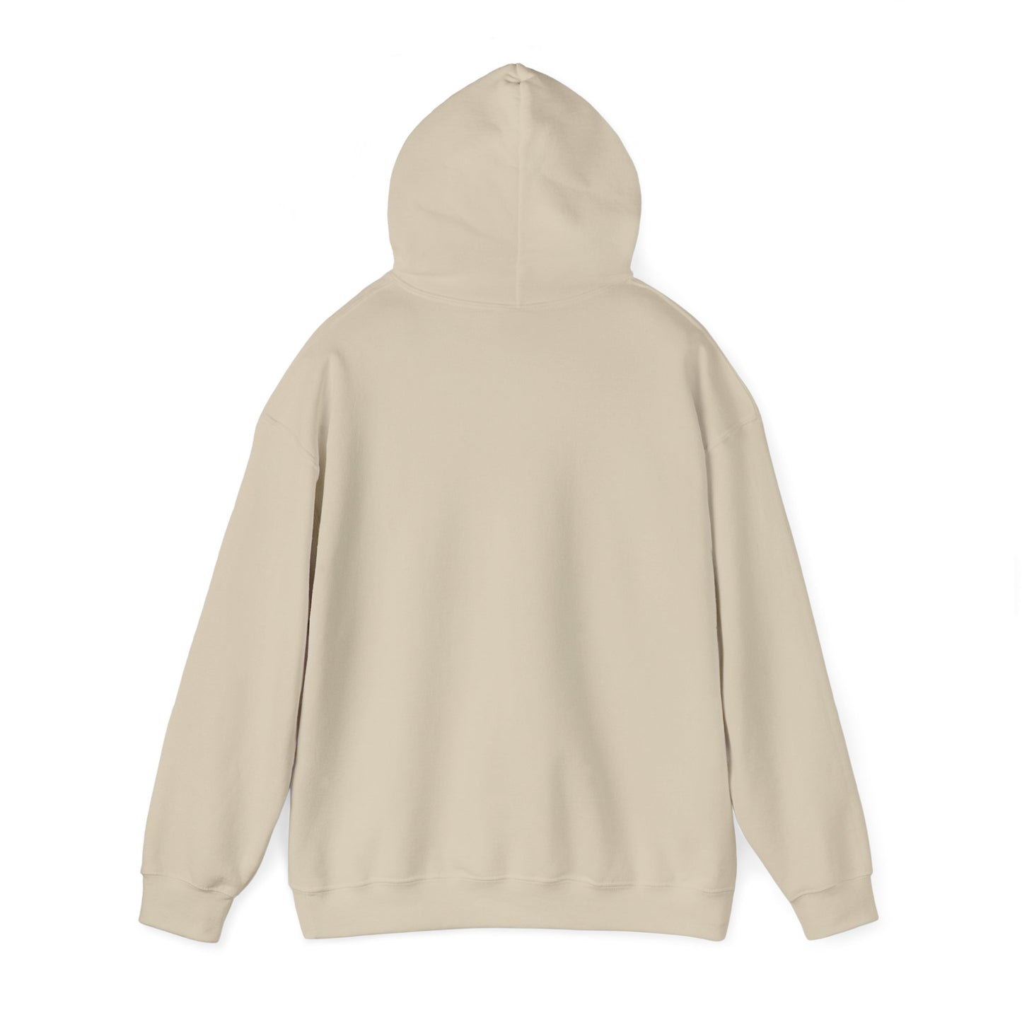 FSU Hoodie