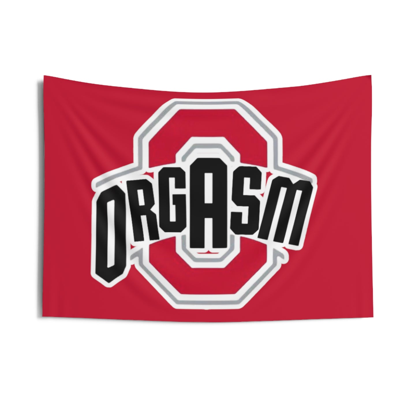 THE OHIO STATE Flag