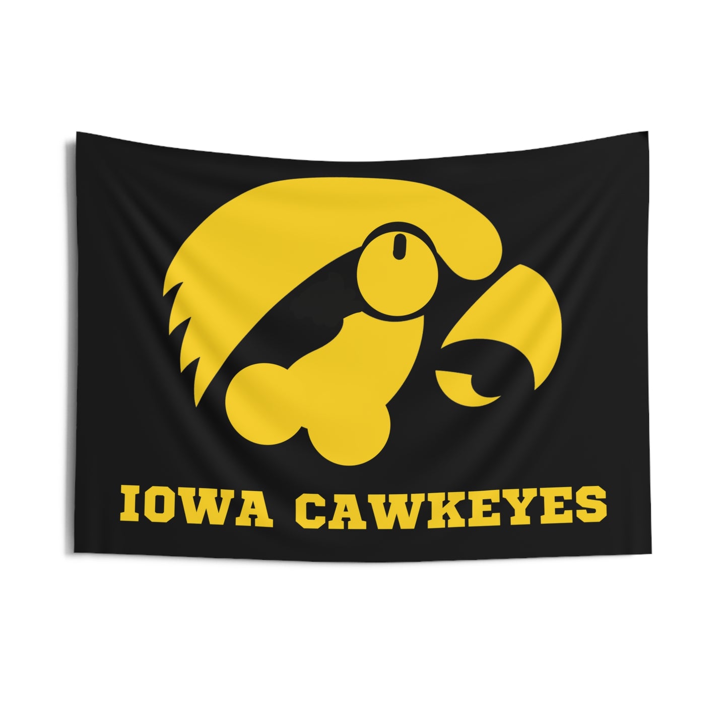 IOWA Flag