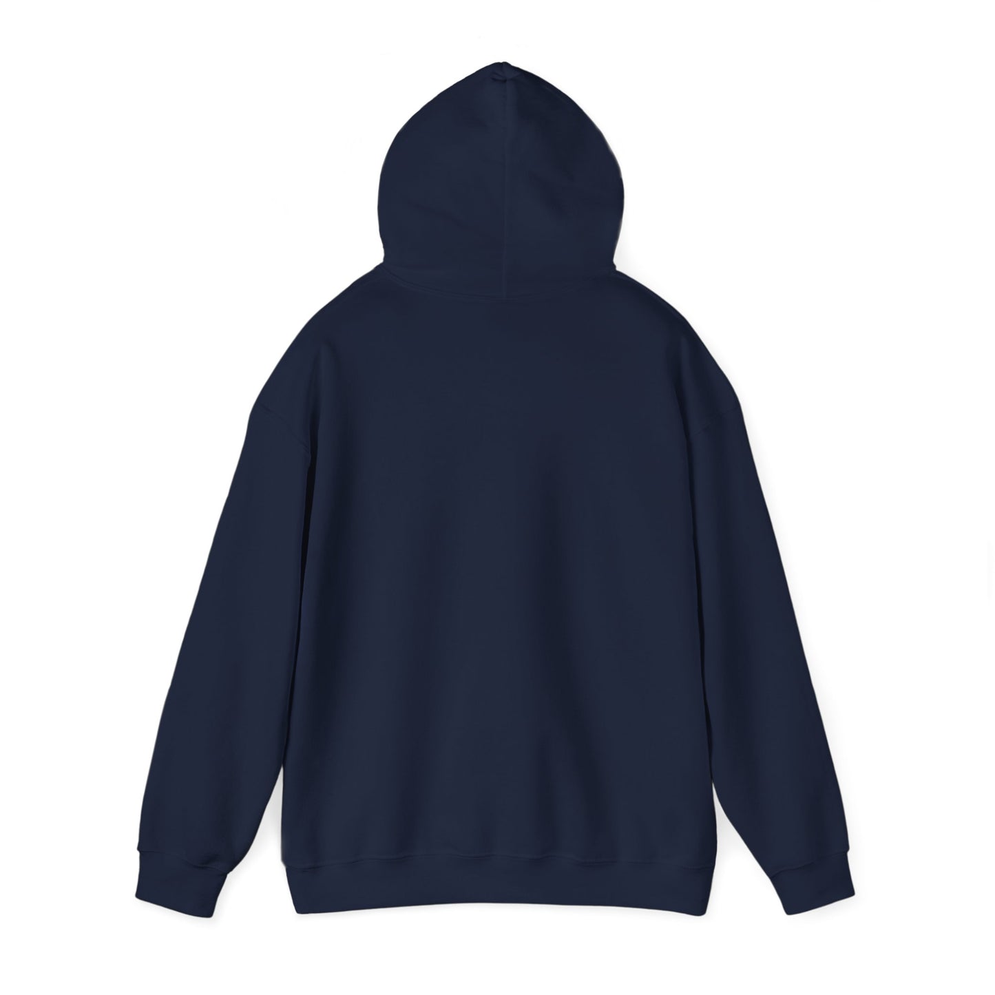 NOTRE DAME Hoodie