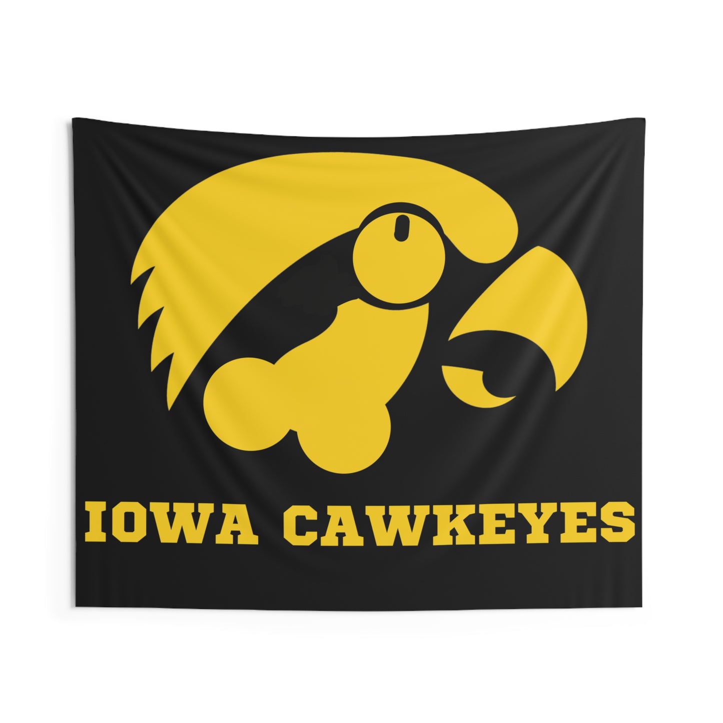 IOWA Flag