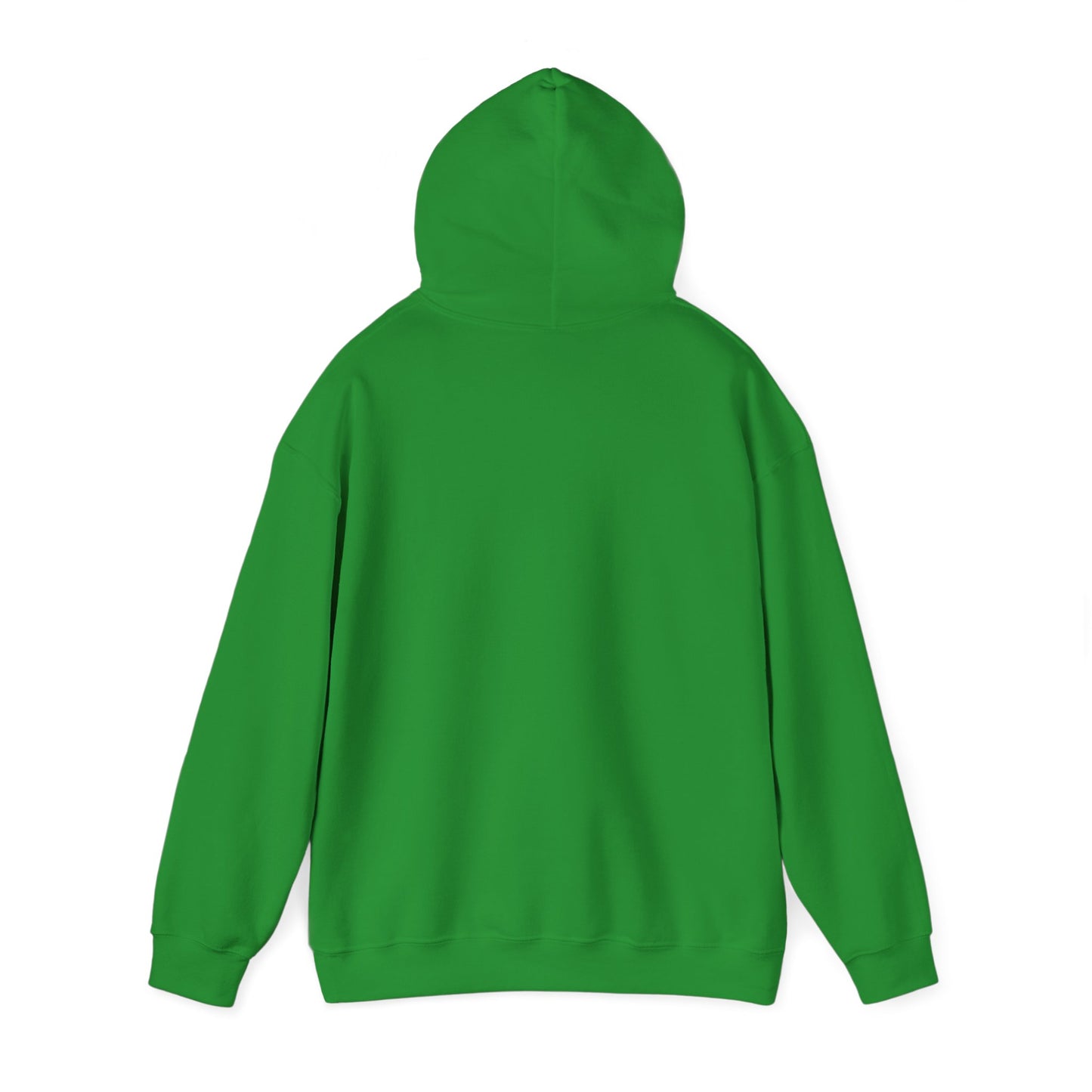 NOTRE DAME Hoodie