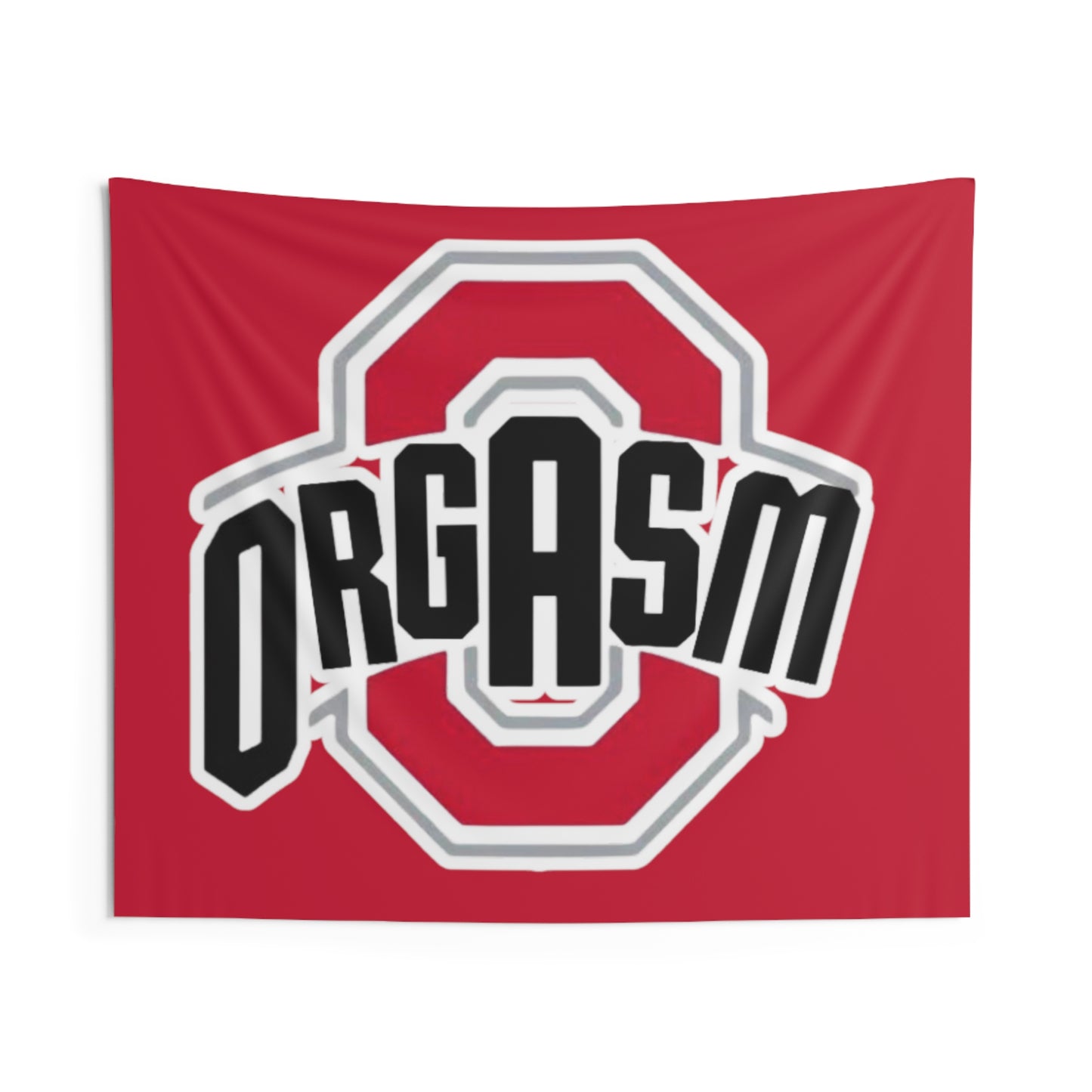 THE OHIO STATE Flag