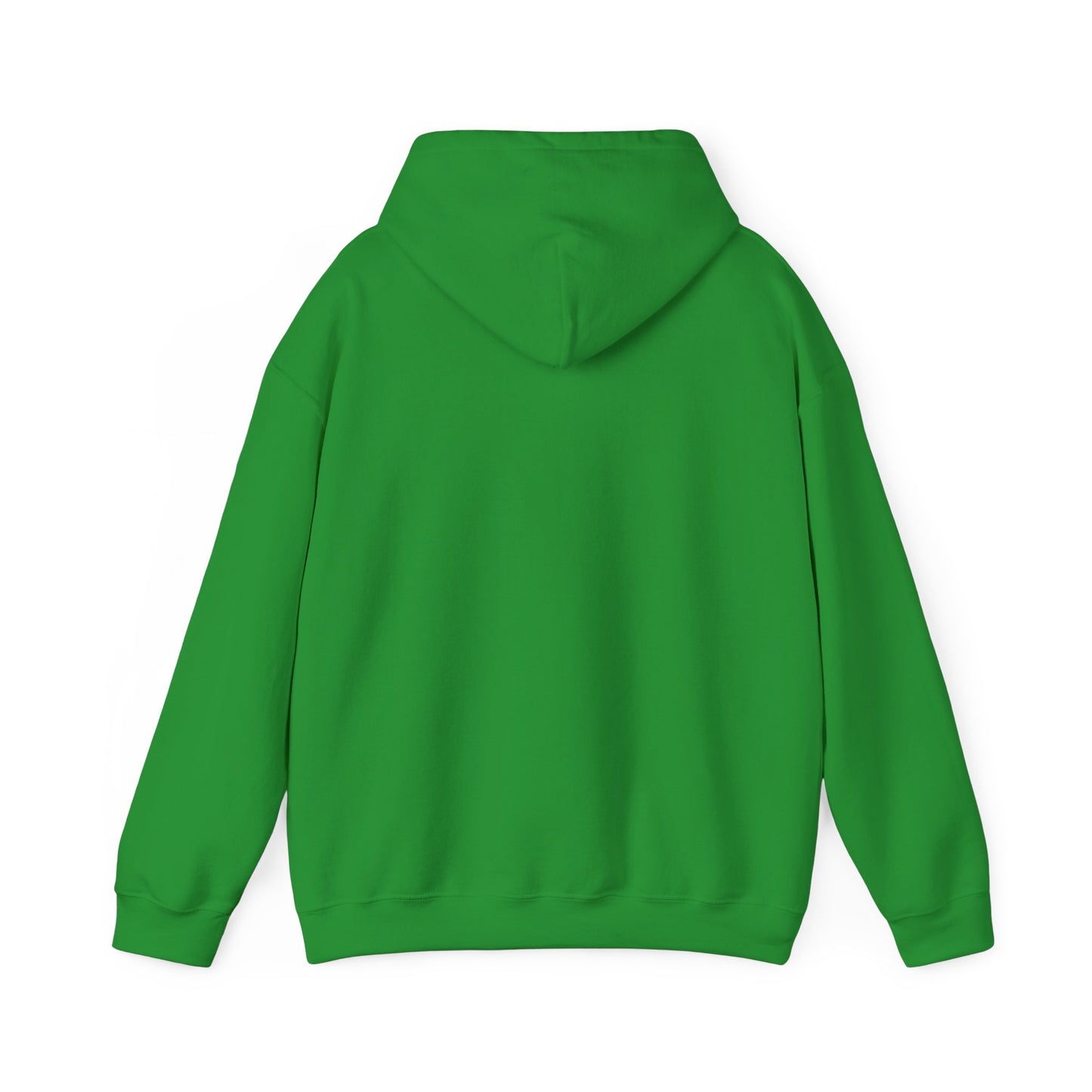 NOTRE DAME Hoodie